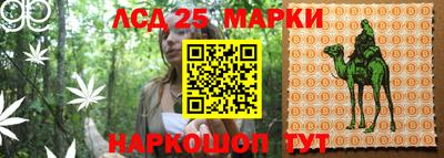 ПСИЛОЦИБИНОВЫЕ ГРИБЫ Бузулук