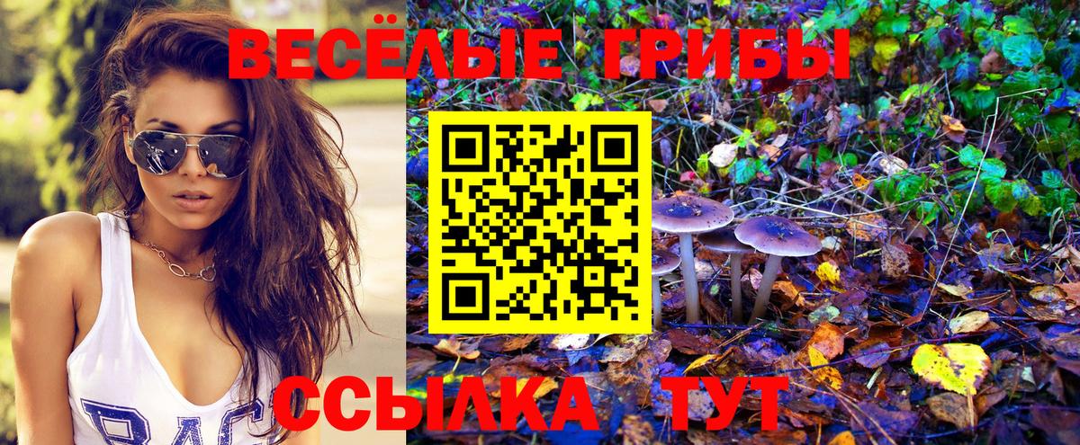 Псилоцибиновые грибы Magic Shrooms Полысаево